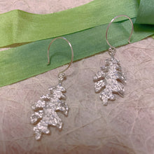 Load image into Gallery viewer, Fern Earrings Sterling Silver Leaf Earrings