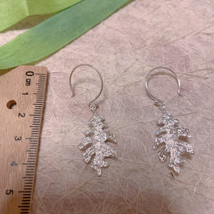 Fern Earrings Sterling Silver Leaf Earrings