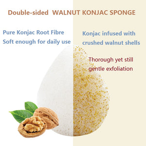 Konjac Walnut Shell Exfoliating Facial Sponge Gentle Exfoliation & Cleansing (FACE & LIP SCRUB)